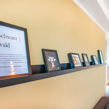 Fairflats: Kueche, Balkon, Arbeitsplatz, Aufzug Daire Hüfingen